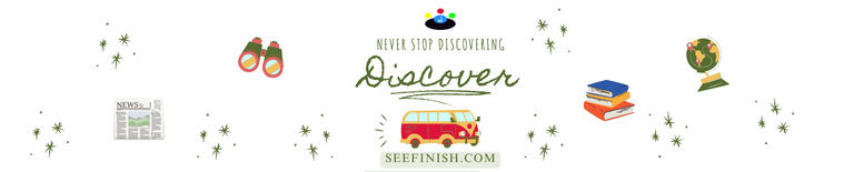Seefinish Insights Trends news knowledge Discovery